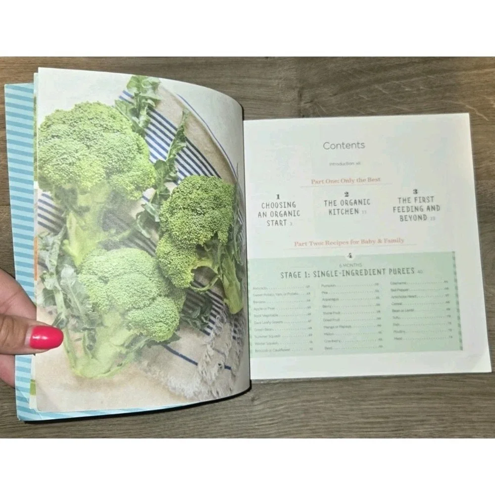 Big Book of Organic Baby Food : Baby Purées, Finger Foods, and Toddler Meals